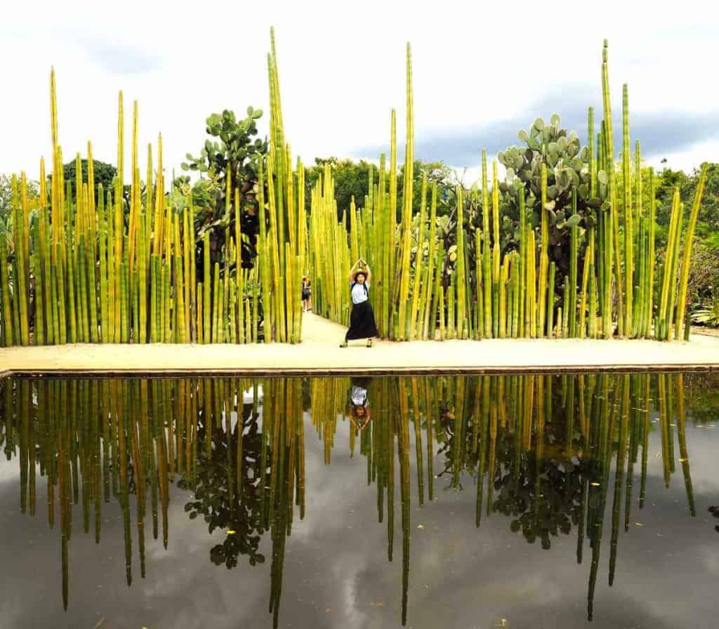 A woman poses at the Ethnobotanical Garden in Oaxaca. On either side of her are long skinny cactus plants, some of which are three times taller than her. The scene is reflected in the pool in the foreground.
